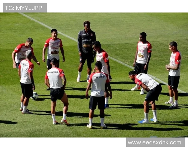 武汉足球队荣登足球配合排行榜第七名展现出色团队协作能力